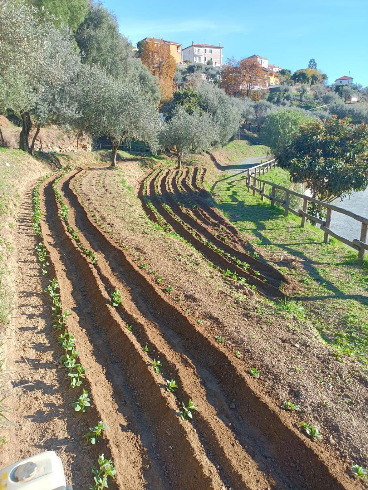 Agriturismo Cele Celle Ligure Exterior foto